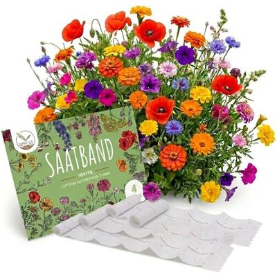 HappySeed 4X Saatteppich Blumensamen Balkonkasten Mischung Farbenfrohe Blumen mit Langer Blütezeit ideal für Ihren Balkon, Garten & Blumenwiese HappySeed 4X Saatteppich Blumensamen Balkonkasten Mischung Farbenfrohe Blumen mit Langer Blütezeit ideal für Ihren Balkon, Garten & Blumenwiese
