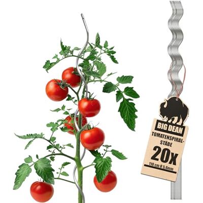 BigDean 20 Tomatenspiralstäbe 110cm voll verzinkt Tomatenstab Pflanzstab Tomaten Ranke Stahl Profi Qualität Tomatenspiralstab BigDean 20 Tomatenspiralstäbe 110cm voll verzinkt Tomatenstab Pflanzstab Tomaten Ranke Stahl Profi Qualität Tomatenspiralstab