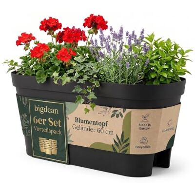 BigDean 6X Blumenkasten Balkongeländer 60cm Anthrazit Balkonkasten inklusive Halterung, Blumentopf zum Aufhängen, Wasserablauf gegen Staunässe,Balkontopf, Geländertopf BigDean 6X Blumenkasten Balkongeländer 60cm Anthrazit Balkonkasten inklusive Halterung, Blumentopf zum Aufhängen, Wasserablauf gegen Staunässe,Balkontopf, Geländertopf