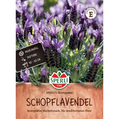 Sperli Schopflavendelsamen 's Kronjuwel 85836, Kräutersaat Mediterrane Zierpflanze für sonnige Terrasse Sperli Schopflavendelsamen 's Kronjuwel 85836, Kräutersaat Mediterrane Zierpflanze für sonnige Terrasse