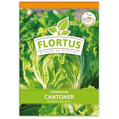 FLORTUS Freude an Vielfalt FLORTUS Chinakohl Cantoner Gemüsesamen Kohlsamen Chinakohlsamen Samen zur Anzucht für Garten, Balkon, Küche & Fensterbank FLORTUS Freude an Vielfalt FLORTUS Chinakohl Cantoner Gemüsesamen Kohlsamen Chinakohlsamen Samen zur Anzucht für Garten, Balkon, Küche & Fensterbank