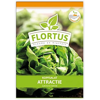 FLORTUS Freude an Vielfalt FLORTUS Kopfsalat Attractie Gemüsesamen Salatsamen Kopfsalatsamen Samen zur Anzucht für Garten, Balkon, Küche & Fensterbank FLORTUS Freude an Vielfalt FLORTUS Kopfsalat Attractie Gemüsesamen Salatsamen Kopfsalatsamen Samen zur Anzucht für Garten, Balkon, Küche & Fensterbank