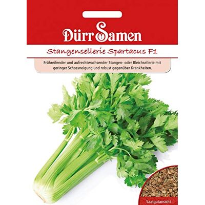 Dürr-Samen Dürr Samen 4154 Stangensellerie Spartacus F1 (Stangenselleriesamen) Dürr-Samen Dürr Samen 4154 Stangensellerie Spartacus F1 (Stangenselleriesamen)