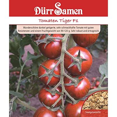 Dürr-Samen Tomaten Samen Tiger F1 Rote Tomate Tigertomate Tomatensamen ca 6 Korn Saatgut Robust Ertragreich Garten Hochbeet Kübel Dürr Samen Dürr-Samen Tomaten Samen Tiger F1 Rote Tomate Tigertomate Tomatensamen ca 6 Korn Saatgut Robust Ertragreich Garten Hochbeet Kübel Dürr Samen