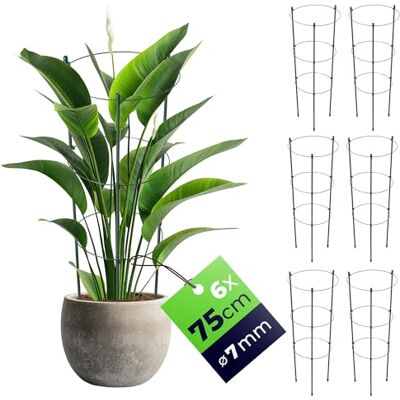 KADAX Rankhilfe für Pflanzen, 75cm, 6er Set, Pflanzenstütze aus Stahl, Blumenstütze, Pflanzenhalter, Rankgitter für Kletterpflanzen im Garten oder Blumentopf, Rankturm für Tomaten KADAX Rankhilfe für Pflanzen, 75cm, 6er Set, Pflanzenstütze aus Stahl, Blumenstütze, Pflanzenhalter, Rankgitter für Kletterpflanzen im Garten oder Blumentopf, Rankturm für Tomaten
