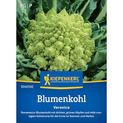 Kiepenkerl Blumenkohlsamen "Veronica" 1040100, Gemüsesaat Mild-nussiges Aroma, Zuverlässig für Sommer- und Herbsternte, Kohlsamen für Garten Kiepenkerl Blumenkohlsamen "Veronica" 1040100, Gemüsesaat Mild-nussiges Aroma, Zuverlässig für Sommer- und Herbsternte, Kohlsamen für Garten