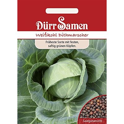 Dürr-Samen Weißkohl Dithmarscher Saatgut Dürr-Samen Weißkohl Dithmarscher Saatgut