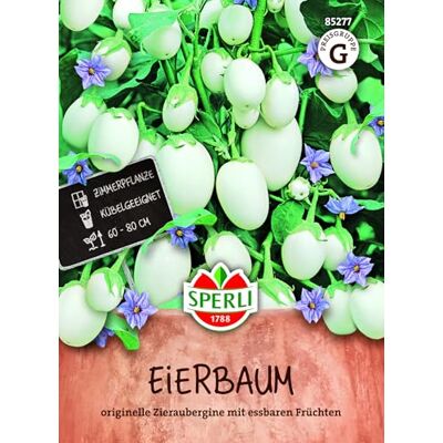 Sperli Eierbaumsamen 85277, Gemüsesaat Dekorative Zieraubergine mit violetten Blüten und eiförmigen Früchten, Balkon & Terrasse, exotisches Gemüse, einjährig Sperli Eierbaumsamen 85277, Gemüsesaat Dekorative Zieraubergine mit violetten Blüten und eiförmigen Früchten, Balkon & Terrasse, exotisches Gemüse, einjährig