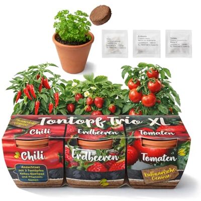 com-four ® 3x Tontöpfe mit Saatgut und Anzuchterde, Zimmergewächshaus Erdbeere Tomate Anzuchtset Balkon com-four ® 3x Tontöpfe mit Saatgut und Anzuchterde, Zimmergewächshaus Erdbeere Tomate Anzuchtset Balkon