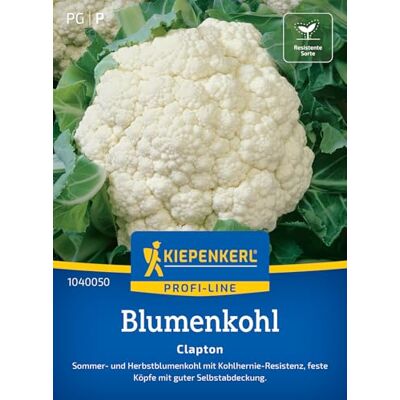 Kiepenkerl Blumenkohlsamen "Clapton" 1040050, Gemüsesaat Sommer- und Herbstblumenkohl, Kohlhernie- Resistenz, aromatisch, Aussaat ab Saatbeet Kiepenkerl Blumenkohlsamen "Clapton" 1040050, Gemüsesaat Sommer- und Herbstblumenkohl, Kohlhernie- Resistenz, aromatisch, Aussaat ab Saatbeet
