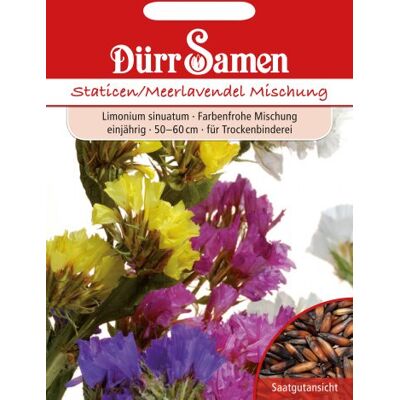 Dürr-Samen Dürr Samen 0866 Staticen Meerlavendel Mischung (Lavendelsamen) Dürr-Samen Dürr Samen 0866 Staticen Meerlavendel Mischung (Lavendelsamen)