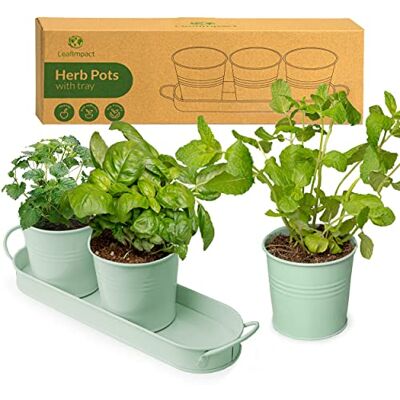 LeafImpact Kräutertöpfe für Zimmerpflanzen mit Tablett Frische Kräuter Zuhause Anbauen Kräutertopf Küche Kräutergarten Indoor-Pflanzenanzuchttöpfe für Basilikum, Minze, Petersilie etc LeafImpact Kräutertöpfe für Zimmerpflanzen mit Tablett Frische Kräuter Zuhause Anbauen Kräutertopf Küche Kräutergarten Indoor-Pflanzenanzuchttöpfe für Basilikum, Minze, Petersilie etc