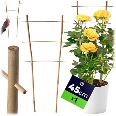 KADAX Rankgitter aus Bambus, 45 x 23 cm, Rankhilfe für Pflanzen, Pflanzengitter, Kletterhilfe & Pflanzstütze für Zimmerpflanzen & Kletterpflanzen KADAX Rankgitter aus Bambus, 45 x 23 cm, Rankhilfe für Pflanzen, Pflanzengitter, Kletterhilfe & Pflanzstütze für Zimmerpflanzen & Kletterpflanzen