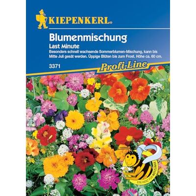 Kiepenkerl Profi-Line Blumensamen-Mischung Last Minute 3371 – Besonders schnell wachsende Sommerblumen-Mischung Höhe ca. 60 cm Inhalt für 4 qm Blumenwiese samen, Saatgut, Kiepenkerl Profi-Line Blumensamen-Mischung Last Minute 3371 – Besonders schnell wachsende Sommerblumen-Mischung Höhe ca. 60 cm Inhalt für 4 qm Blumenwiese samen, Saatgut,