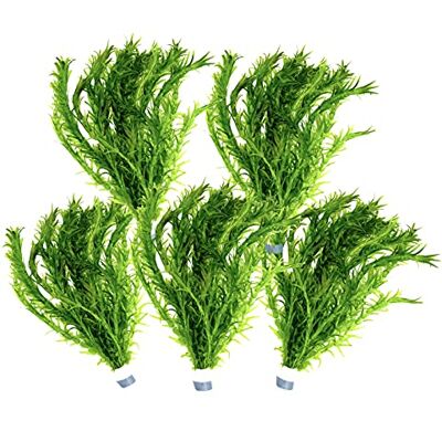 Daxton-Plant 5 Bund Wasserpest, Teich Pflanze, Wasserpflanze, Elodea Densa, Aquarium Pflanze, mini Teich Daxton-Plant 5 Bund Wasserpest, Teich Pflanze, Wasserpflanze, Elodea Densa, Aquarium Pflanze, mini Teich