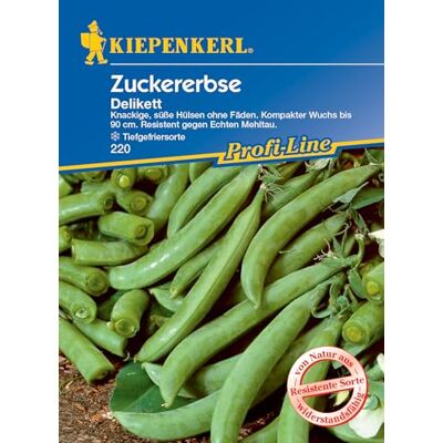 Kiepenkerl Profi-Line Zuckererbsensamen Delikett 220 Knackige, süße Hülsen ohne Fäden. Kompakter Wuchs bis 90 cm, resistente Sorte Gemüsesamen, Samen Gemüse Kiepenkerl Profi-Line Zuckererbsensamen Delikett 220 Knackige, süße Hülsen ohne Fäden. Kompakter Wuchs bis 90 cm, resistente Sorte Gemüsesamen, Samen Gemüse