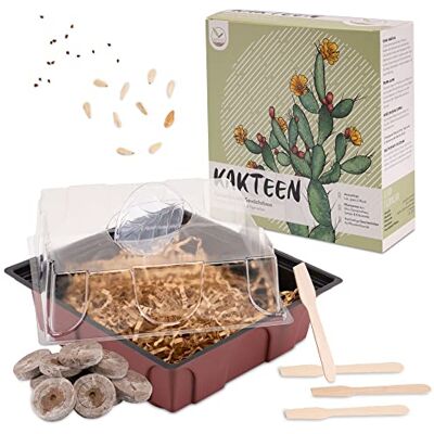HappySeed Kakteen Starter Kit Anzuchtset Pflanzset aus Mini-Gewächshaus, Kaktus Samen & Erde nachhaltige Geschenkidee für Pflanzenfreunde (Samen: Madagascar Palme + Echter Tigerrachen) HappySeed Kakteen Starter Kit Anzuchtset Pflanzset aus Mini-Gewächshaus, Kaktus Samen & Erde nachhaltige Geschenkidee für Pflanzenfreunde (Samen: Madagascar Palme + Echter Tigerrachen)