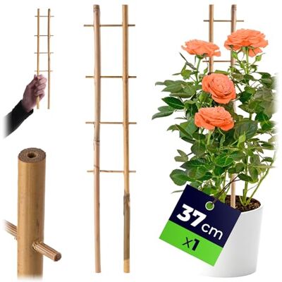 KADAX Rankgitter aus Bambus, 37 x 7 cm, Rankhilfe für Pflanzen, Pflanzengitter, Kletterhilfe & Pflanzstütze für Zimmerpflanzen & Kletterpflanzen KADAX Rankgitter aus Bambus, 37 x 7 cm, Rankhilfe für Pflanzen, Pflanzengitter, Kletterhilfe & Pflanzstütze für Zimmerpflanzen & Kletterpflanzen