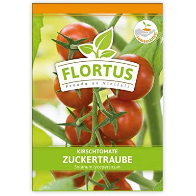 FLORTUS Freude an Vielfalt FLORTUS Kirschtomate Zuckertraube Gemüsesamen Tomatensamen Kirschtomatensamen Cocktailtomatensamen Samen zur Anzucht für Garten, Balkon, Küche & Fensterbank FLORTUS Freude an Vielfalt FLORTUS Kirschtomate Zuckertraube Gemüsesamen Tomatensamen Kirschtomatensamen Cocktailtomatensamen Samen zur Anzucht für Garten, Balkon, Küche & Fensterbank