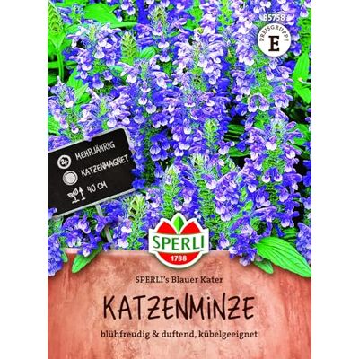 Sperli Katzenminzesamen 's Blauer Kater 85758, Kräutersaat Mehrjährig, Duftpflanze Sperli Katzenminzesamen 's Blauer Kater 85758, Kräutersaat Mehrjährig, Duftpflanze