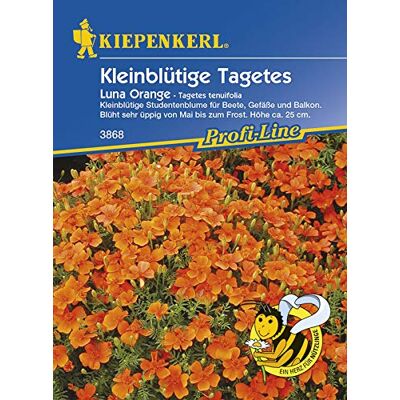 Kiepenkerl 3868 Kleinblütige Tagetes Luna Orange (Tagetessamen) Kiepenkerl 3868 Kleinblütige Tagetes Luna Orange (Tagetessamen)