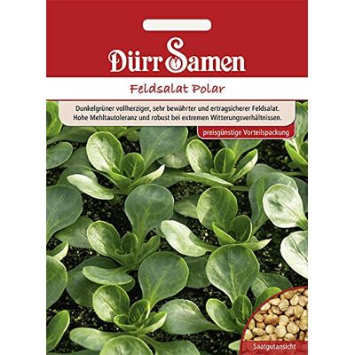 Dürr-Samen Feldsalat Polar (Vorteilspackung) Saatgut Dürr-Samen Feldsalat Polar (Vorteilspackung) Saatgut