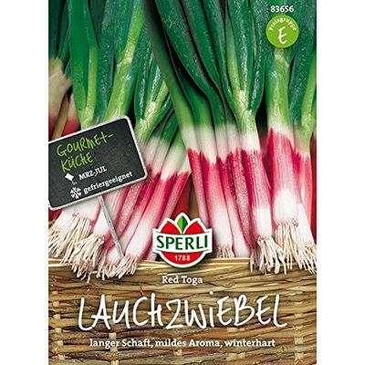 Sperli Gemüsesamen Lauchzwiebel rot Toga, grün Sperli Gemüsesamen Lauchzwiebel rot Toga, grün