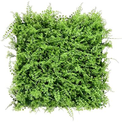 KARAT Pflanzenwand Kunstpflanzen zur Wandmontage 50 x 50 cm Wandgarten Künstliche Pflanzen Deko für Wand, Balkon & Garten (Fern, 50 x 50 cm) KARAT Pflanzenwand Kunstpflanzen zur Wandmontage 50 x 50 cm Wandgarten Künstliche Pflanzen Deko für Wand, Balkon & Garten (Fern, 50 x 50 cm)