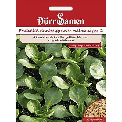 Dürr-Samen Feldsalat Dunkelgrüner vollherziger (Vorteilspackung) Saatgut Dürr-Samen Feldsalat Dunkelgrüner vollherziger (Vorteilspackung) Saatgut