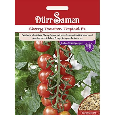 Dürr-Samen Kirsch-Tomaten Tropical F1 Saatgut Dürr-Samen Kirsch-Tomaten Tropical F1 Saatgut