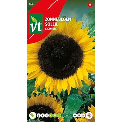 Arborix Sonnenblume Giganteus Samen: die große große Sonnenblume Samen Arborix Sonnenblume Giganteus Samen: die große große Sonnenblume Samen