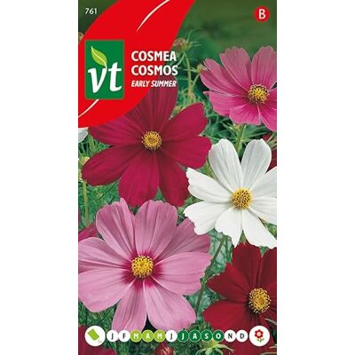 Arborix Cosmea Frühsommer, ein Sommer voller Blumen, Samen, 1 g, 150 Samen pro Gramm Arborix Cosmea Frühsommer, ein Sommer voller Blumen, Samen, 1 g, 150 Samen pro Gramm