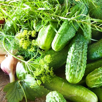 WegAna 6m Saatband Gemahlene Gurke Valerie F1, Robuste Gemüsesamen Gemüse Samen Anzucht Saatgut Balkon & Garten WegAna 6m Saatband Gemahlene Gurke Valerie F1, Robuste Gemüsesamen Gemüse Samen Anzucht Saatgut Balkon & Garten
