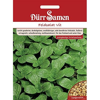 Dürr-Samen Feldsalat Vit (Vorteilspackung) Saatgut Dürr-Samen Feldsalat Vit (Vorteilspackung) Saatgut