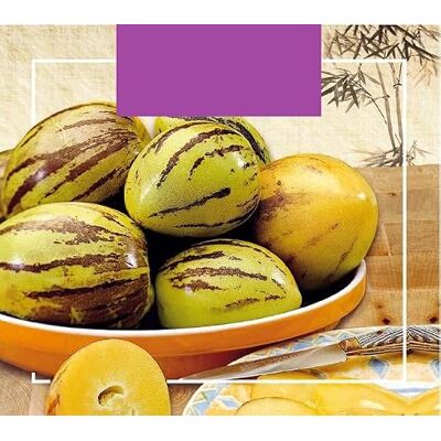 Arborix Buzzy Xotica Pepino, Melonenbirne Arborix Buzzy Xotica Pepino, Melonenbirne