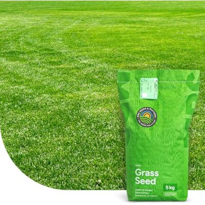 MRS Seeds & Mixtures MRS Seeds Rasen Nachsaat Fast Repair 1KG-50m² Schnellkeimende Rasensamen Nachsäen im Frühjahr und Herbst Turbo Nachsaat Testergebnis: SEHR GUT MRS Seeds & Mixtures MRS Seeds Rasen Nachsaat Fast Repair 1KG-50m² Schnellkeimende Rasensamen Nachsäen im Frühjahr und Herbst Turbo Nachsaat Testergebnis: SEHR GUT