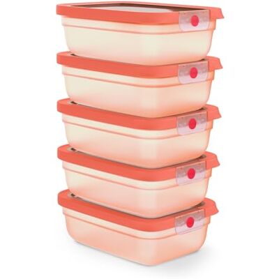 Emsa oneClick, Vorratsdose, One-Click-System, Lebensmittel 2x länger frisch, 100% auslaufsicher, Made in Germany, ORANGE, Meal-Prep-Set 5-tlg 5× 1,20 L, N1231800 Emsa oneClick, Vorratsdose, One-Click-System, Lebensmittel 2x länger frisch, 100% auslaufsicher, Made in Germany, ORANGE, Meal-Prep-Set 5-tlg 5× 1,20 L, N1231800