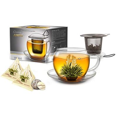 Creano XXL Teetasse mit Henkel Jumbo mit integriertem Edelstahlsieb, Deckel und Untersetzer im Set mit 2 ErblühTeelini, 450ml Creano XXL Teetasse mit Henkel Jumbo mit integriertem Edelstahlsieb, Deckel und Untersetzer im Set mit 2 ErblühTeelini, 450ml
