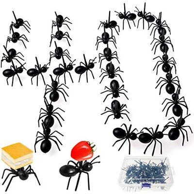 BITEFU 40 Stk Obstgabeln,Interessant Ameisen Zahnstocher Schwarz für Snacks Obst Food Pikser Cocktail Party Dekor Spieße Sticks BITEFU 40 Stk Obstgabeln,Interessant Ameisen Zahnstocher Schwarz für Snacks Obst Food Pikser Cocktail Party Dekor Spieße Sticks