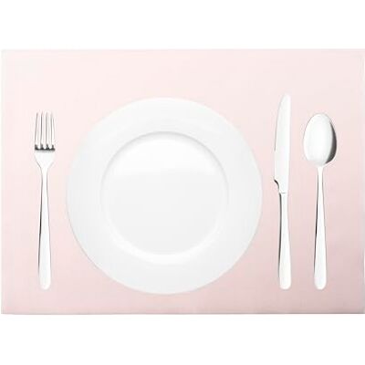 Sovie HORECA Tischset in Hellrosa aus Linclass Airlaid, 40 x 30cm, 100 St. Einweg-Platzdeckchen in Stoffoptik für Hochzeit, Babyshower, Frühstück, Platzset Platzmatten Sovie HORECA Tischset in Hellrosa aus Linclass Airlaid, 40 x 30cm, 100 St. Einweg-Platzdeckchen in Stoffoptik für Hochzeit, Babyshower, Frühstück, Platzset Platzmatten