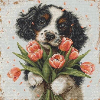Luca-S Kreuzstich Stickpackung Der Cocker Spaniel-Welpe, Zählmuster Luca-S Kreuzstich Stickpackung Der Cocker Spaniel-Welpe, Zählmuster