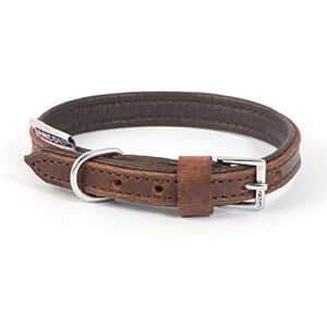 Ancol Heavy Duty Vintage Padded Leather Hundehalsband - Hundehalsband Ancol Heavy Duty Vintage Padded Leather Hundehalsband - Hundehalsband