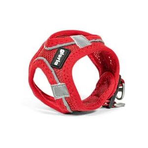 GLORIA LO MEJOR PARA TU MEJOR AMIGO Gloria Trek Star Hundegeschirr 33,4-35 cm 51-52 cm Rot L GLORIA LO MEJOR PARA TU MEJOR AMIGO Gloria Trek Star Hundegeschirr 33,4-35 cm 51-52 cm Rot L