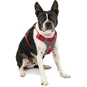 Kurgo Journey Air Hundegeschirr, Mit gepolstertem Brustteil und Rückgriff, Für Hunde von 2-5 kg, Größe XS, Rot/Grau Kurgo Journey Air Hundegeschirr, Mit gepolstertem Brustteil und Rückgriff, Für Hunde von 2-5 kg, Größe XS, Rot/Grau