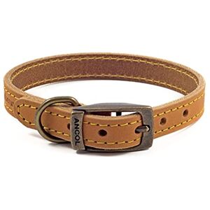 Ancol Timberwolf Lederhalsband Senf - 35-43cm - Haustierhalsband Ancol Timberwolf Lederhalsband Senf - 35-43cm - Haustierhalsband