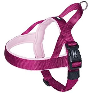 Nobby Preno Hundegeschirr - Himbeere/Pink, L: 60-76 cm + 46 cm, B: 25/35 mm - Hundegeschirr Nobby Preno Hundegeschirr - Himbeere/Pink, L: 60-76 cm + 46 cm, B: 25/35 mm - Hundegeschirr