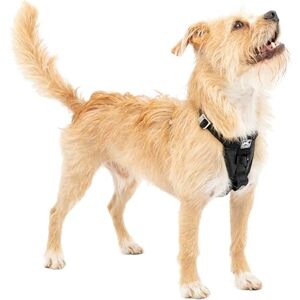 Kurgo Tru-Fit Hundegeschirr, Crash-Test-erprobtes Auto-Sicherheitsgurt, Für Hunde von 2 bis 5 kg, Größe XS, Schwarz Kurgo Tru-Fit Hundegeschirr, Crash-Test-erprobtes Auto-Sicherheitsgurt, Für Hunde von 2 bis 5 kg, Größe XS, Schwarz