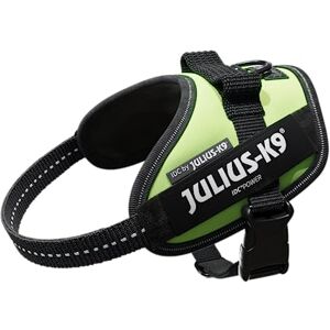 JULIUS K-9 IDC Powergeschirr, Größe: XS / Mini-Mini, Neon Grün, 16IDC-NE-MM JULIUS K-9 IDC Powergeschirr, Größe: XS / Mini-Mini, Neon Grün, 16IDC-NE-MM