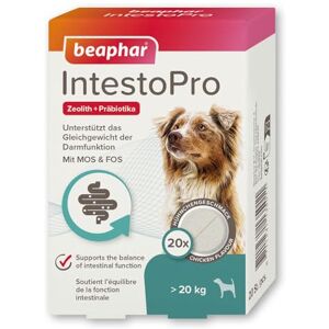 Beaphar IntestoPro Tabs Für Große Hunde Mit Zeolith Mit MOS & FOS Unterstützt Das Gleichgewicht Der Darmfunktion 20 Stück Beaphar IntestoPro Tabs Für Große Hunde Mit Zeolith Mit MOS & FOS Unterstützt Das Gleichgewicht Der Darmfunktion 20 Stück