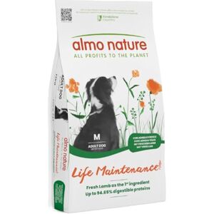 Almo Nature Life Maintenance Trockenfutter für Hunde M mit Lamm 12 kg – Alleinfuttermittel für ausgewachsene Hunde mittelgroßer Rassen Almo Nature Life Maintenance Trockenfutter für Hunde M mit Lamm 12 kg – Alleinfuttermittel für ausgewachsene Hunde mittelgroßer Rassen